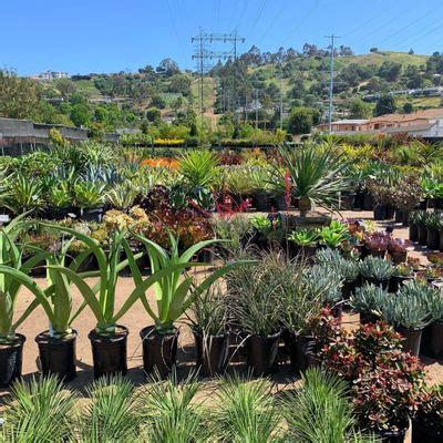 Nursery los angeles. Things To Know About Nursery los angeles. 